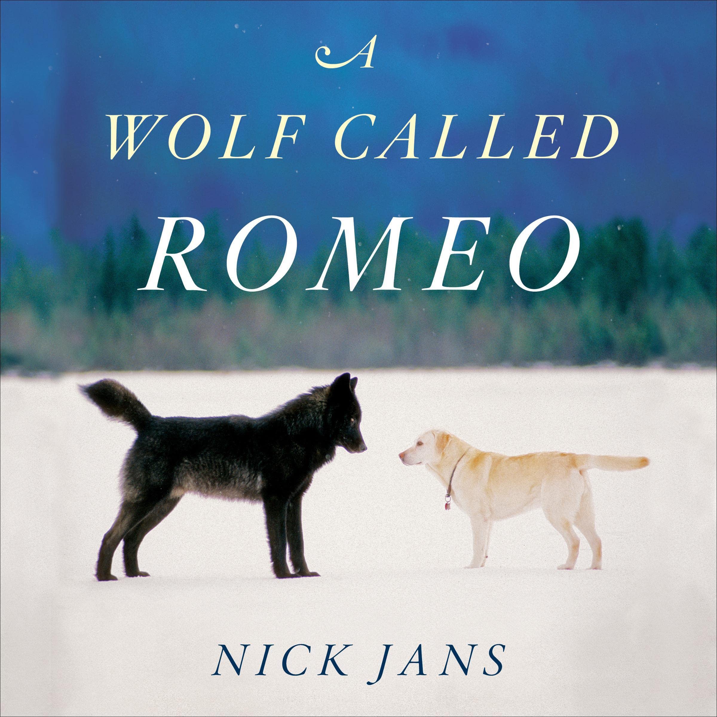 Cover art for A Wolf Called Romeo