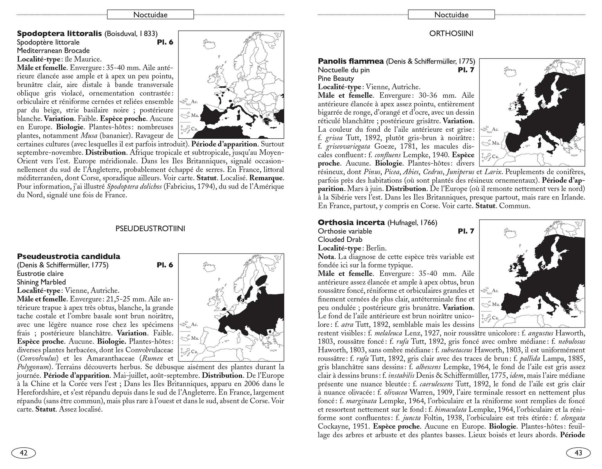 Papillons de nuit d'Europe: Volume 6, Noctuelles 2