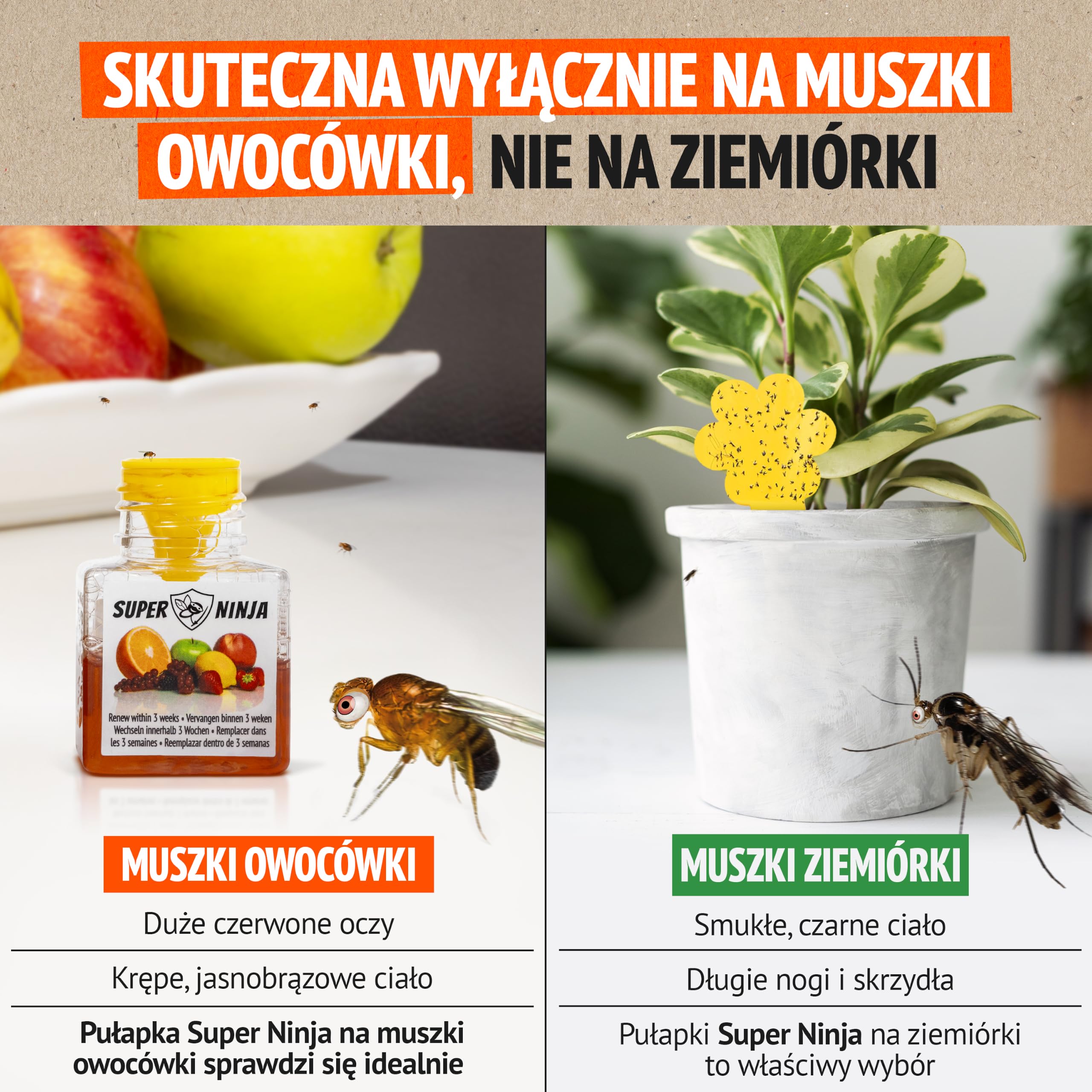 Super Ninja Pułapka na muszki owocówki do kuchni – 12 szt., naturalny płynny wabik, działanie do 3 tygodni, bez toksycznych składników
