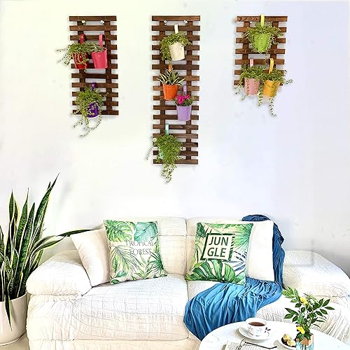 Miniatura 4 de ShopLaLa - Paquete de 3 macetas de pared colgantes y de madera para plantas de interior, soporte para suculentas o Tillandsias, jardín vertical,