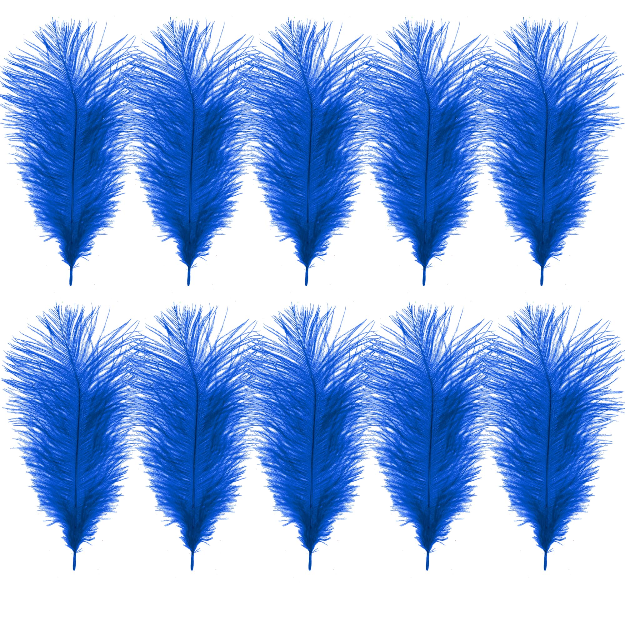 WedDecor Royal Blue Natural Ostrich Feathers 14-16" (35-40cm) Long for Wedding Centrepieces, Embellishment, Art & Craft, Parties, Pack of 10