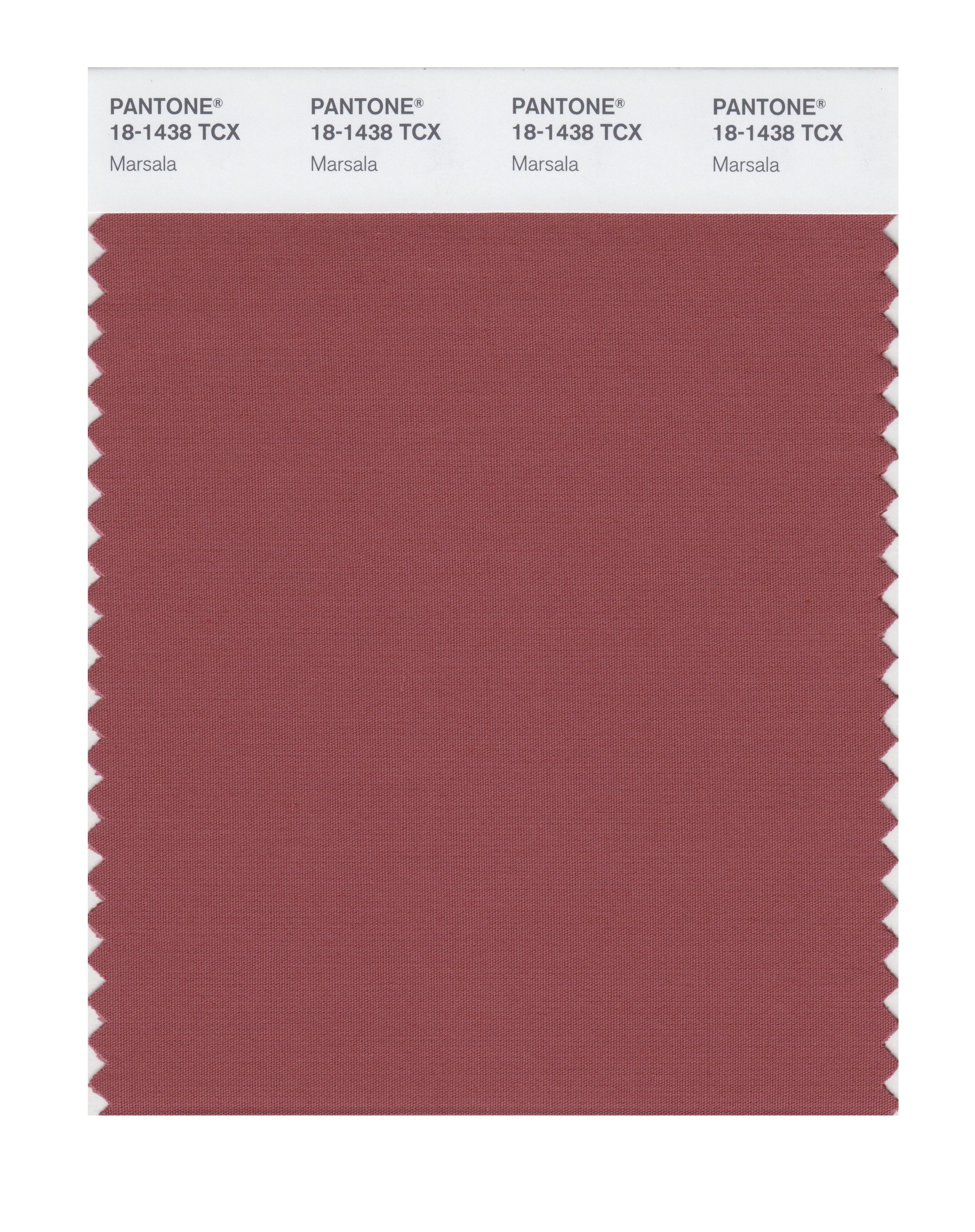 その他 PANTONE for fashion and  COLOR CARD PANTONE SMART 18-1438X Color Swatch Card, Marsala - Wall Decor