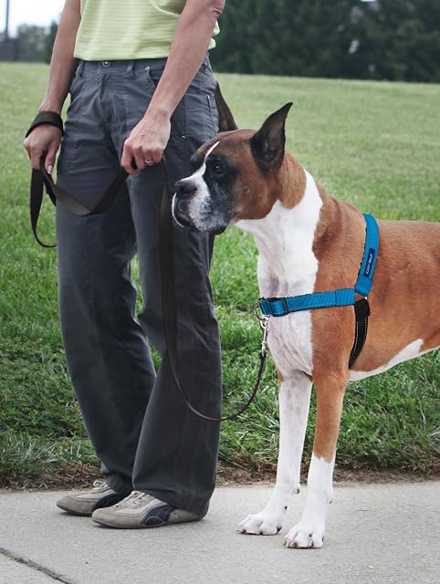 Foto 2 de 8 de PetSafe Easy Walk - Arnés de Lujo para Perro, sin tirones, Entrenamiento con Correa y arnés, Evita…