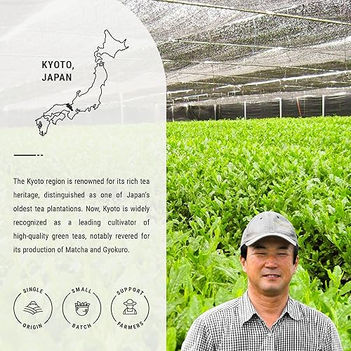 Miniatura 3 de Senbird Genmaicha prémium con matcha, té verde de arroz integral japonés con matcha, de Kioto, Japón, té de hojas sueltas en lata de té hermética