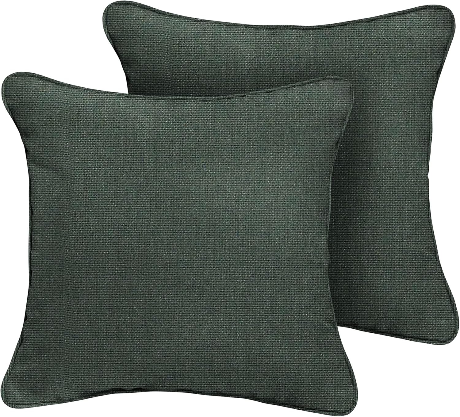 Sorra Home Outdoor/Indoor Corded Pillow, 16 in x 16 in, Cast Ivy