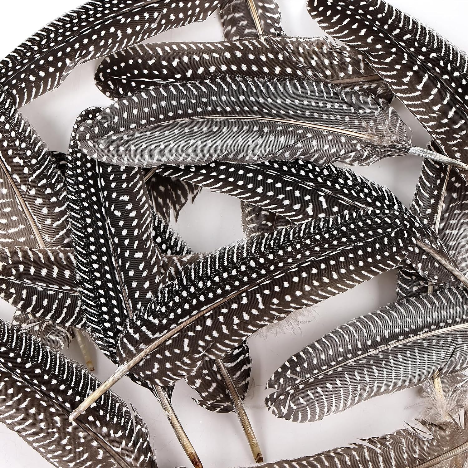 Daieeparty 12pcs Guinea Fowl Wing Feathers Bulk 6-8 inch Natural Spotted Feathers for DIY Craft Home Wedding Decoration