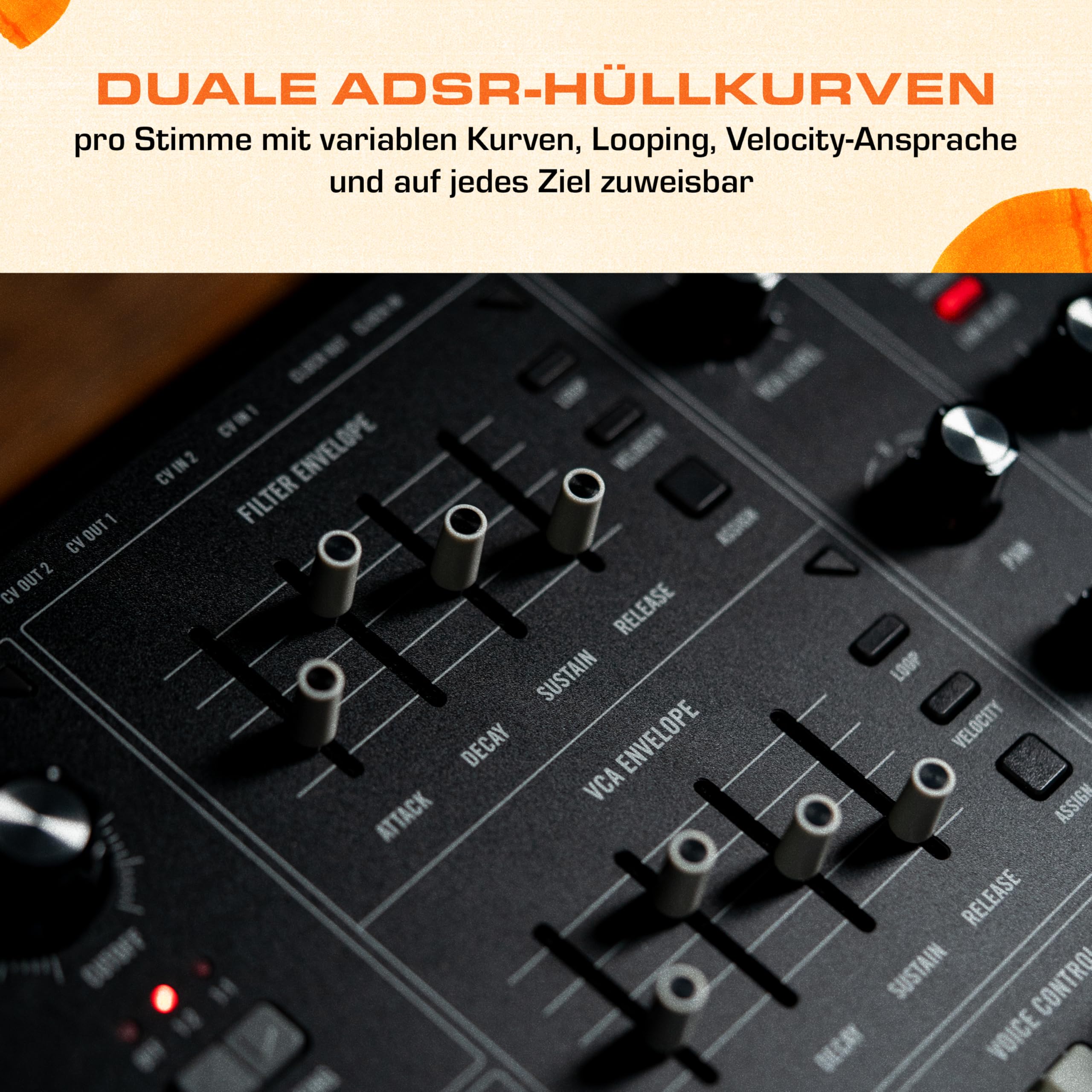 MOOG Muse 8-stimmiger analoger polyphoner Synthesizer | Bi-timbraler Synth, 61 Tasten, 64-Step-Sequencer, 256 Patches und Diffusion-Delay