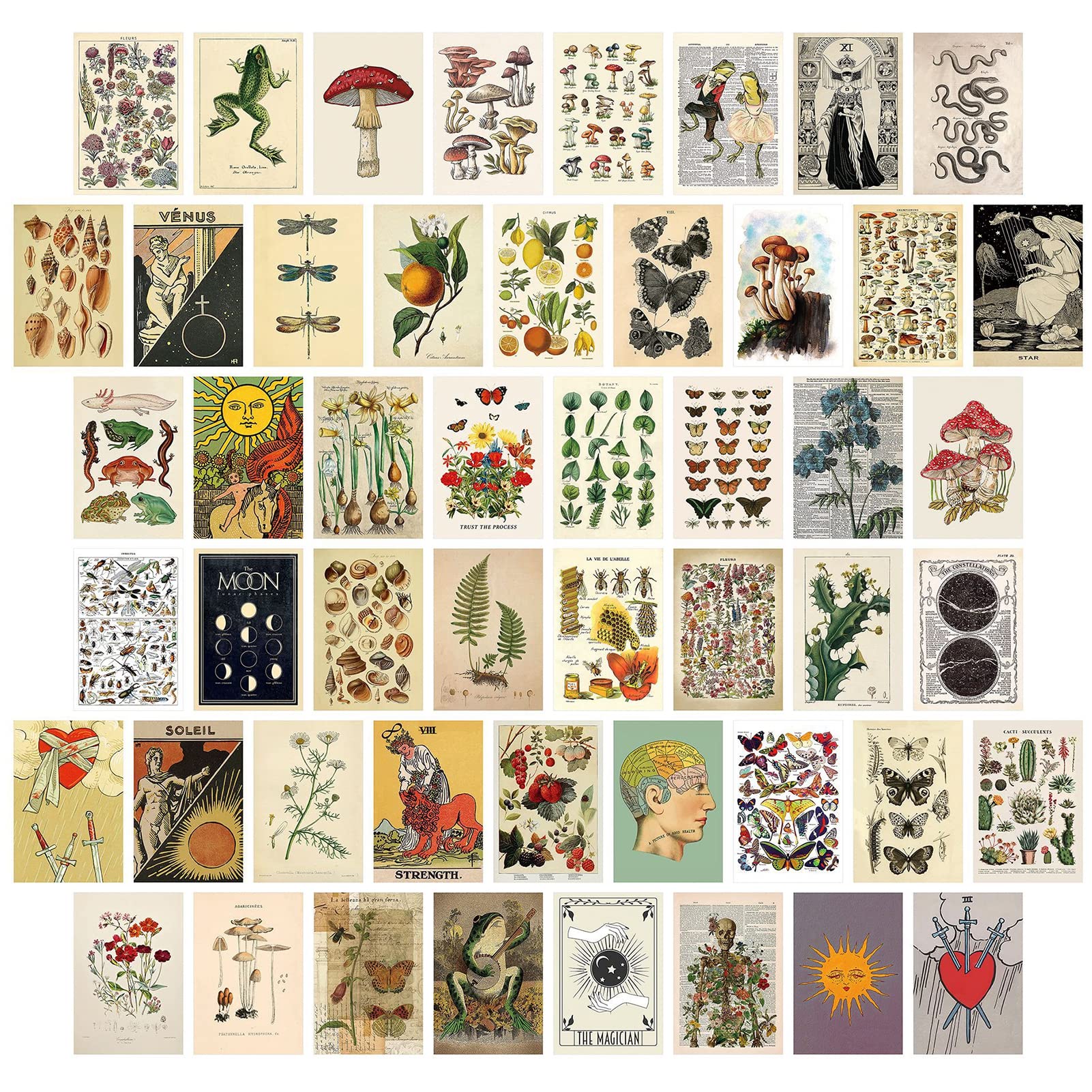 Set de Cartes Postales 50 pièces Vierges Vintage avec Différents Motifs
