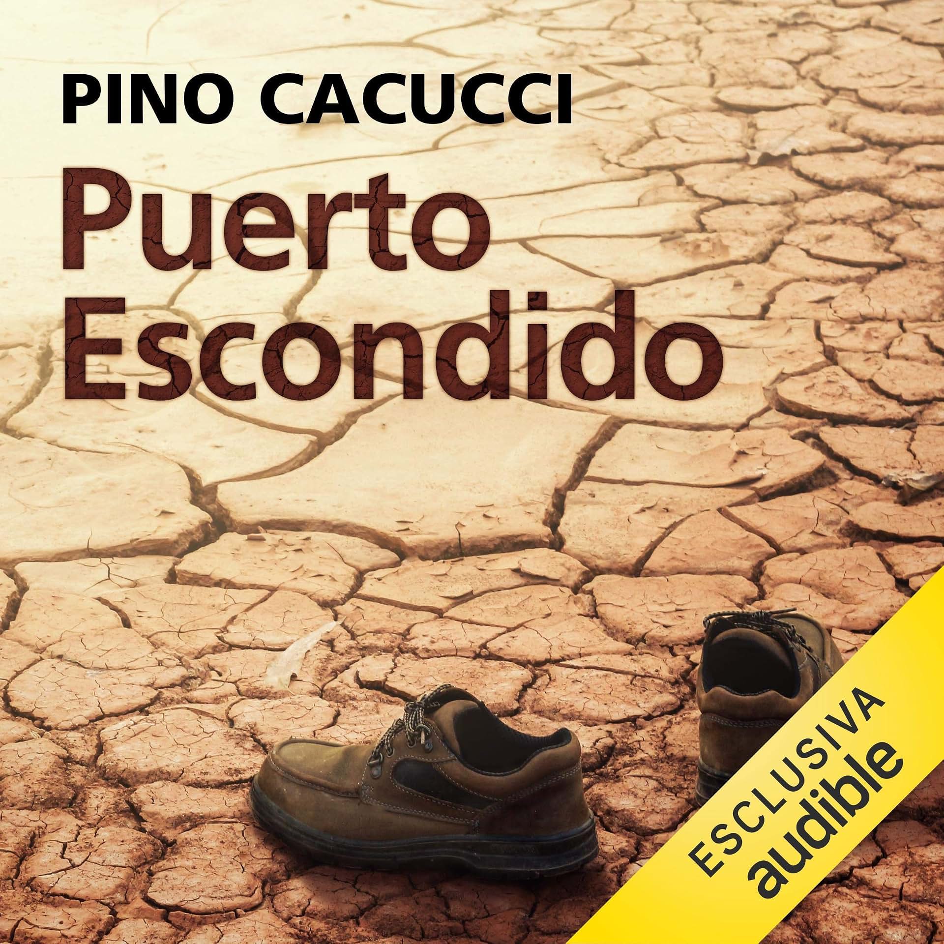 cover-image