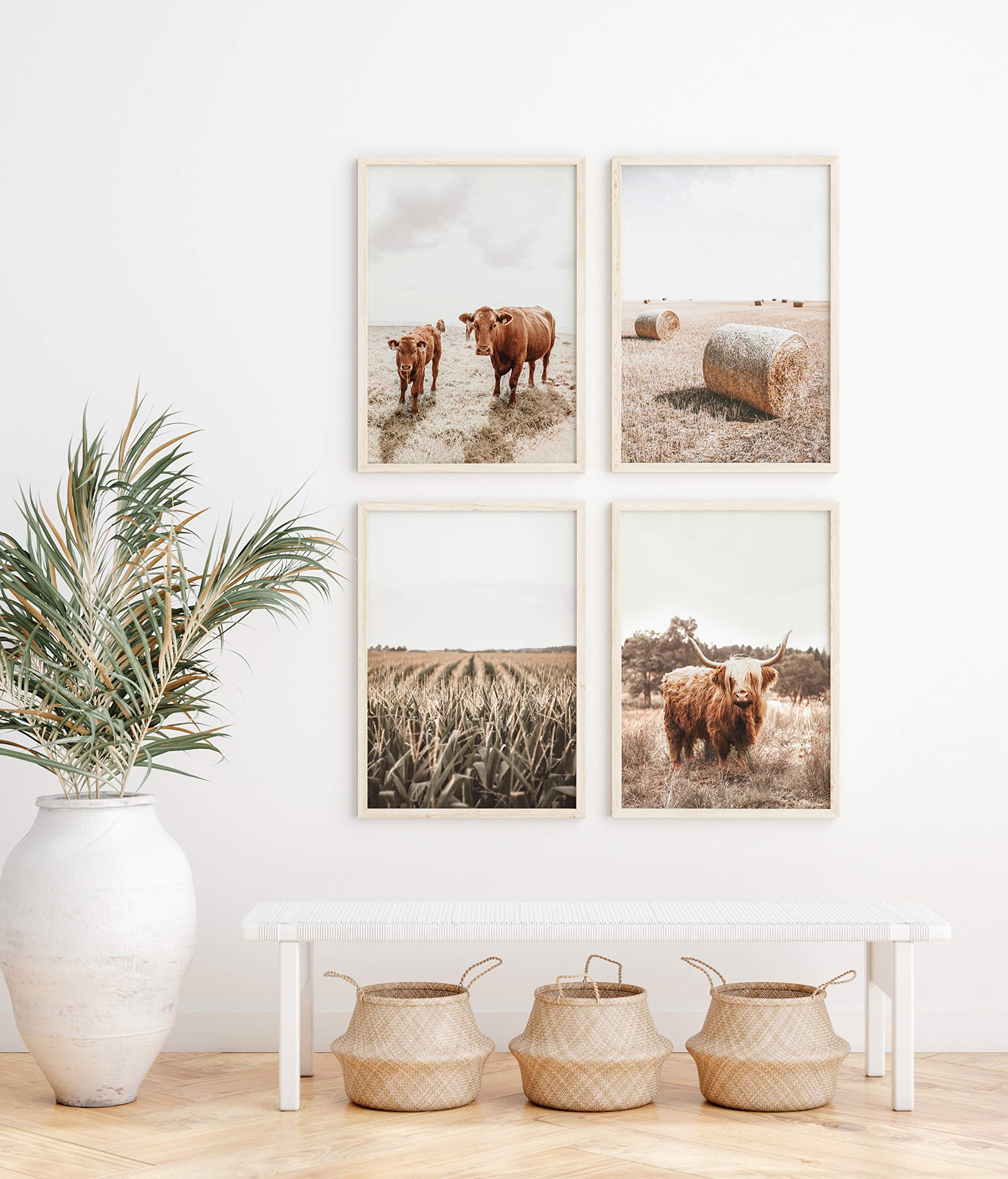 Highland Cow Art and Farmhouse Wall Decor by Haus and Hues Cow Wall