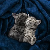 Vista 189 de Utopia Bedding - Manta de vellón de lujo, mullida, antiestática; manta de suave microfibra de 8.8 oz/yd² (300 g/m²) para cama; tamaño individual