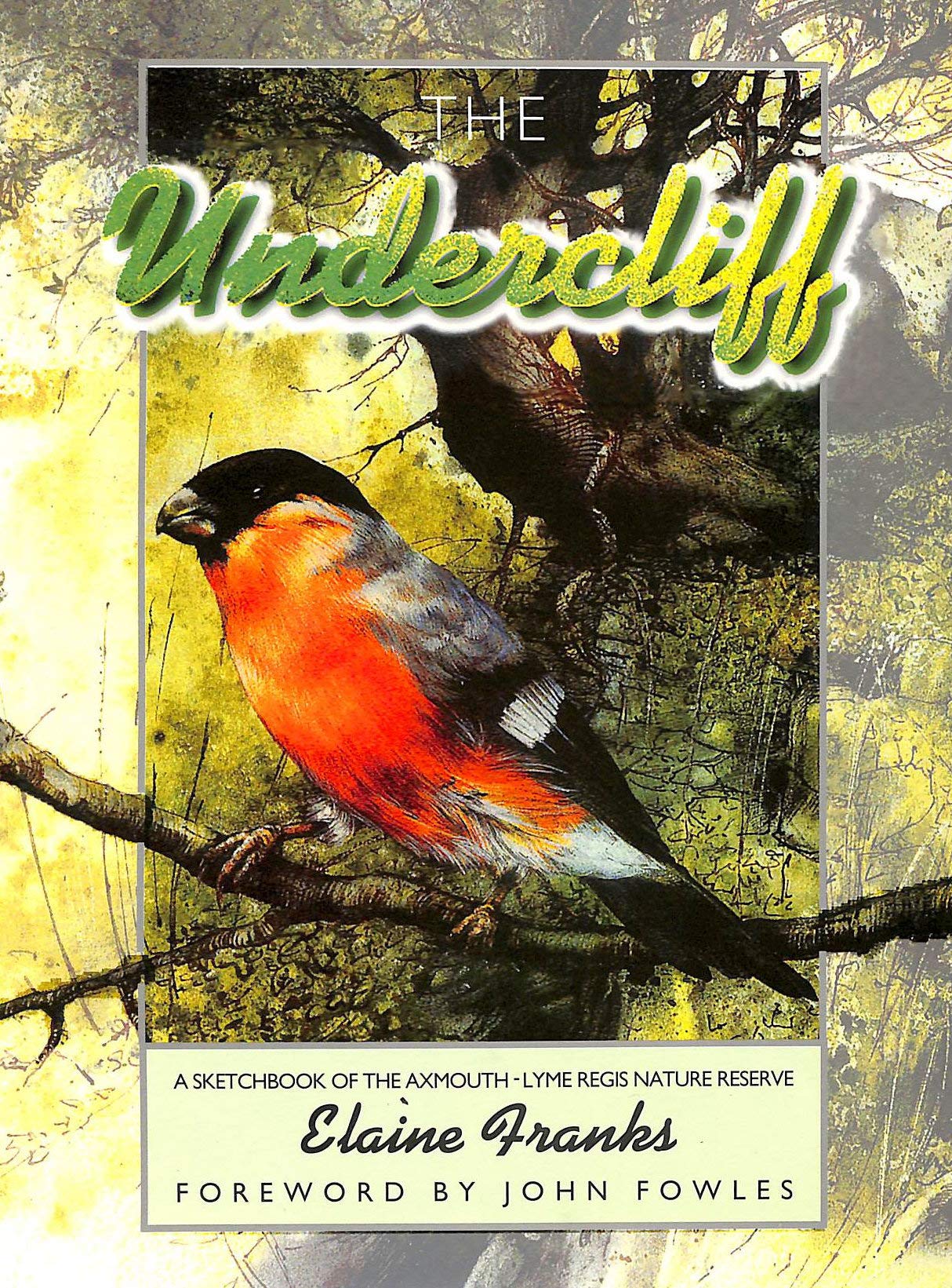 The Undercliff: A Sketchbook of the Axmouth-Lyme Regis Nature Reserve