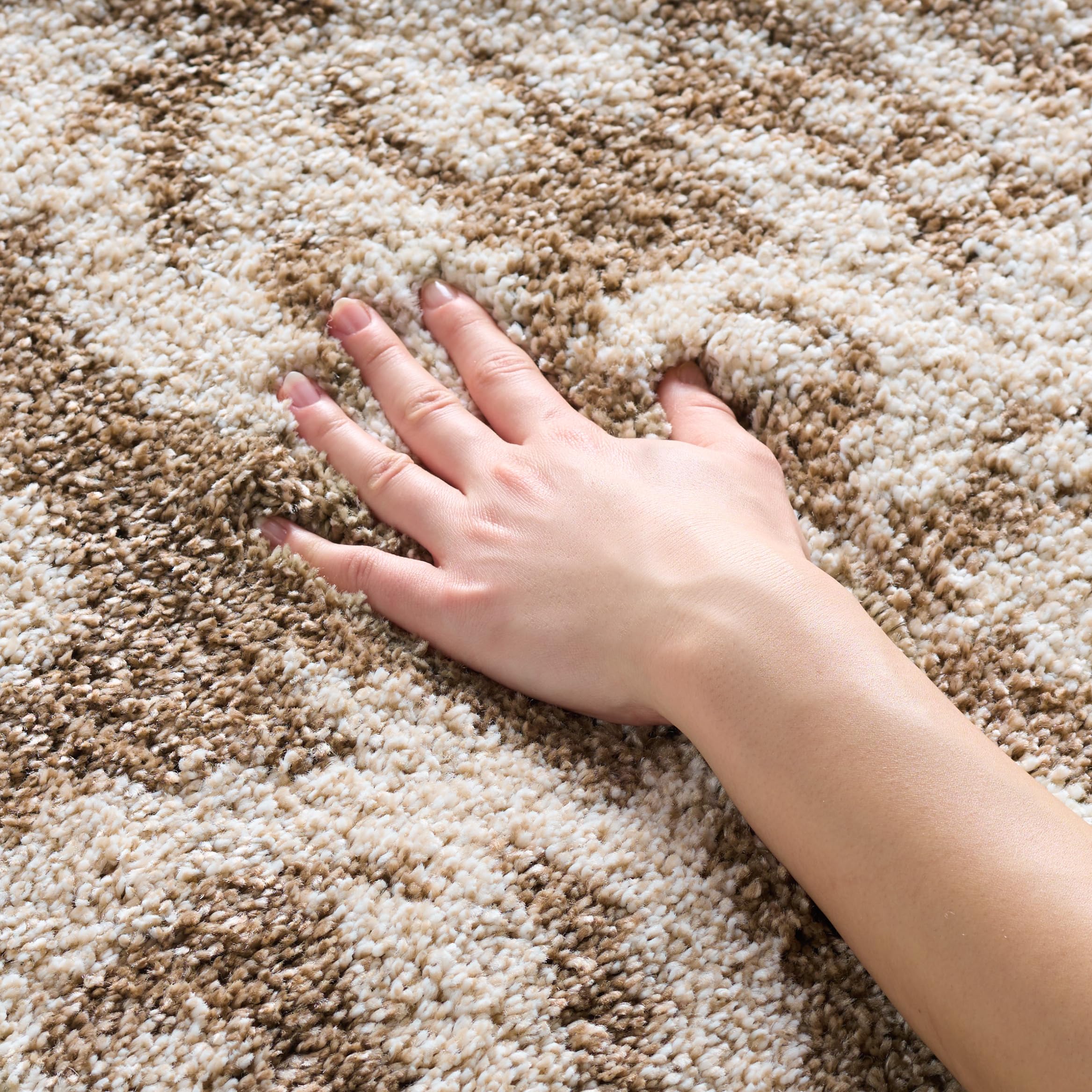 SAFAVIEH Florida Shag rug