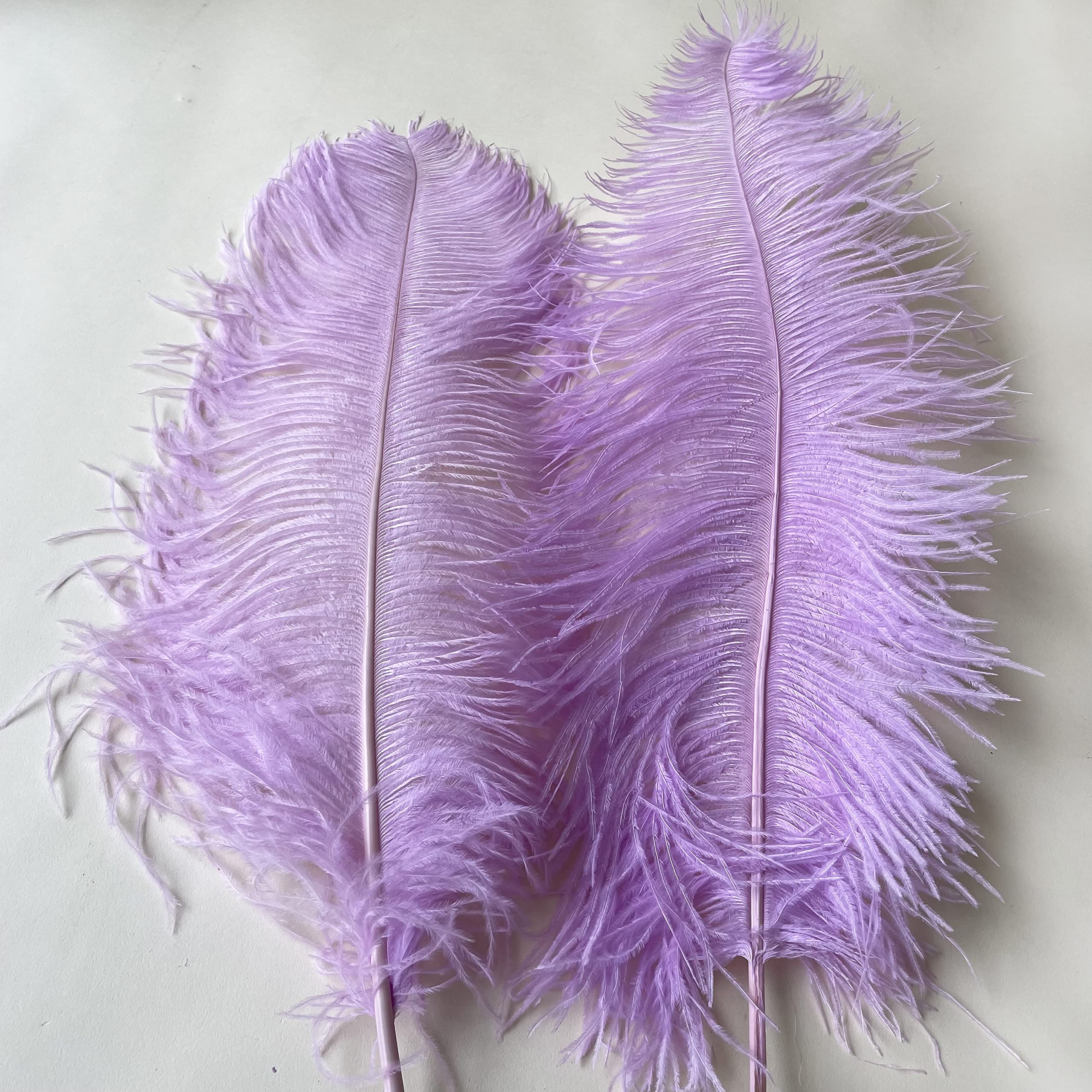 Piume Di Struzzo Naturali 40-45 Cm, Morbide E Colorate, Per Decorazioni, Matrimoni, Acchiappasogni E Artigianato (Scegli Colore E Quantità)