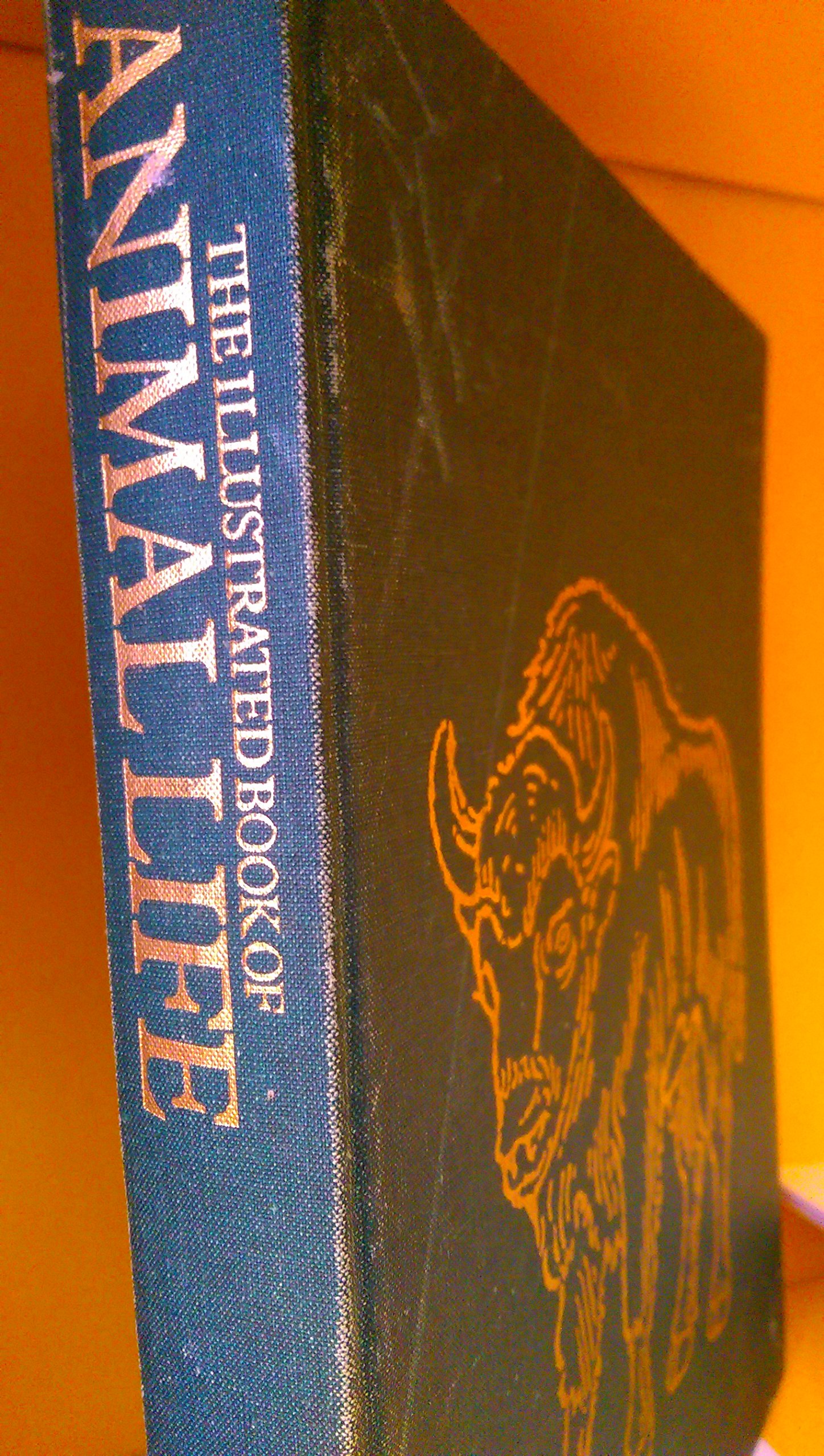 Illustrated Book of Animal Life