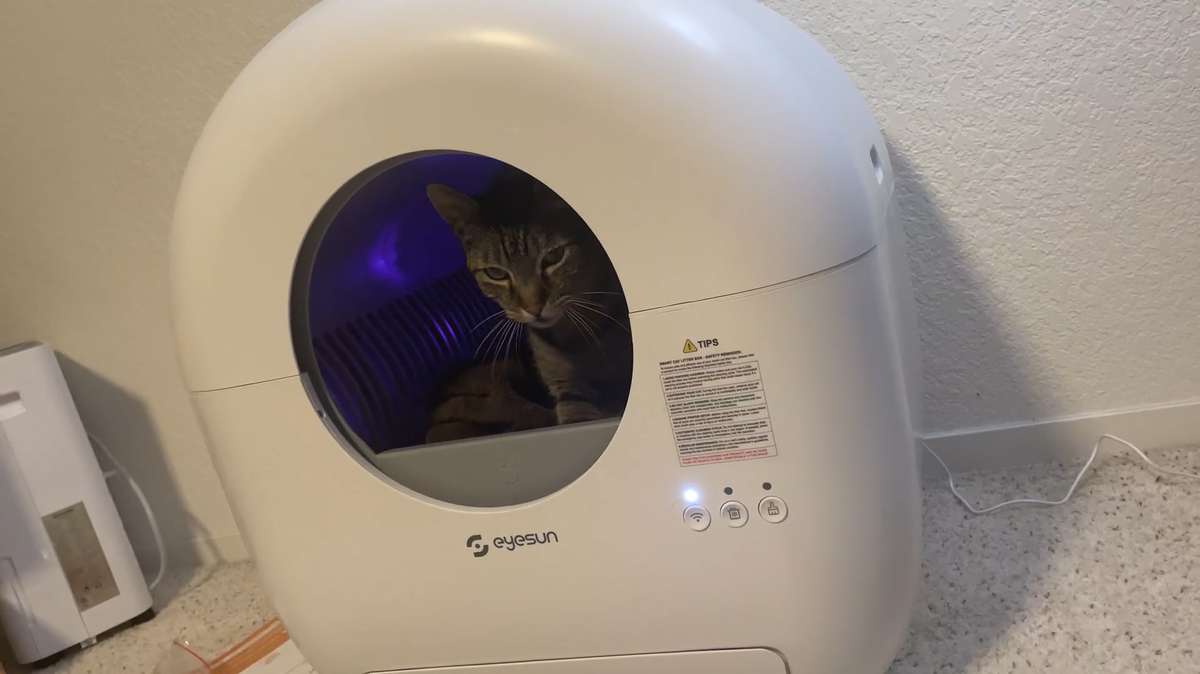 Amazon | 猫 自動トイレ, 猫 トイレ 自動トイレ, 全自動猫トイレ, 自動 