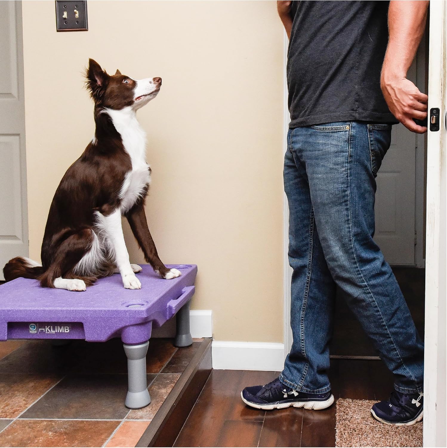 Blue-9 KLIMB Training Kit, Professionally Designed Dog Platform and Accessories for Training and Agility and Accessories, Made in The USA, Blue