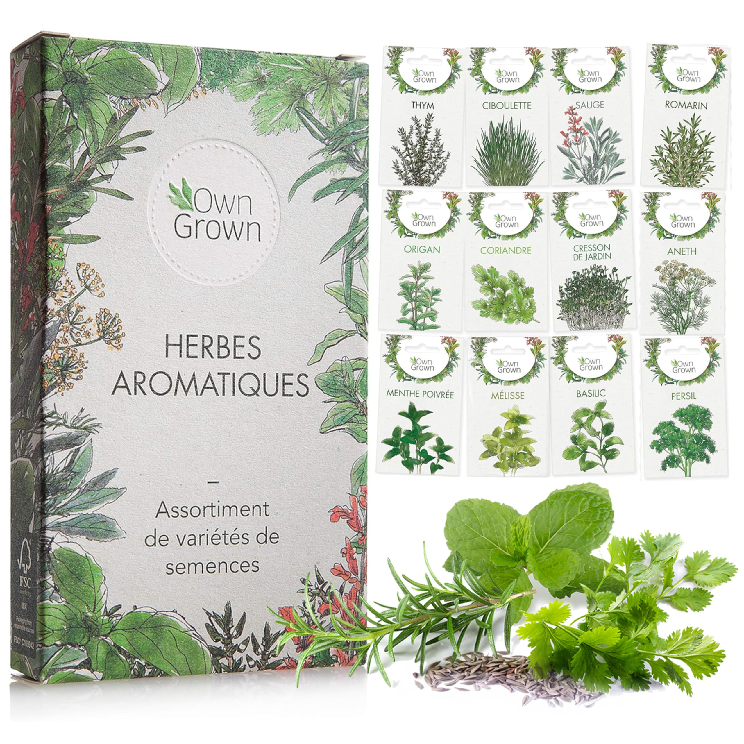 OwnGrown Kit de graines d'Herbes aromatiques prt  Pousser