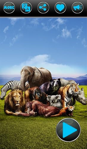 Animal Sounds 2017