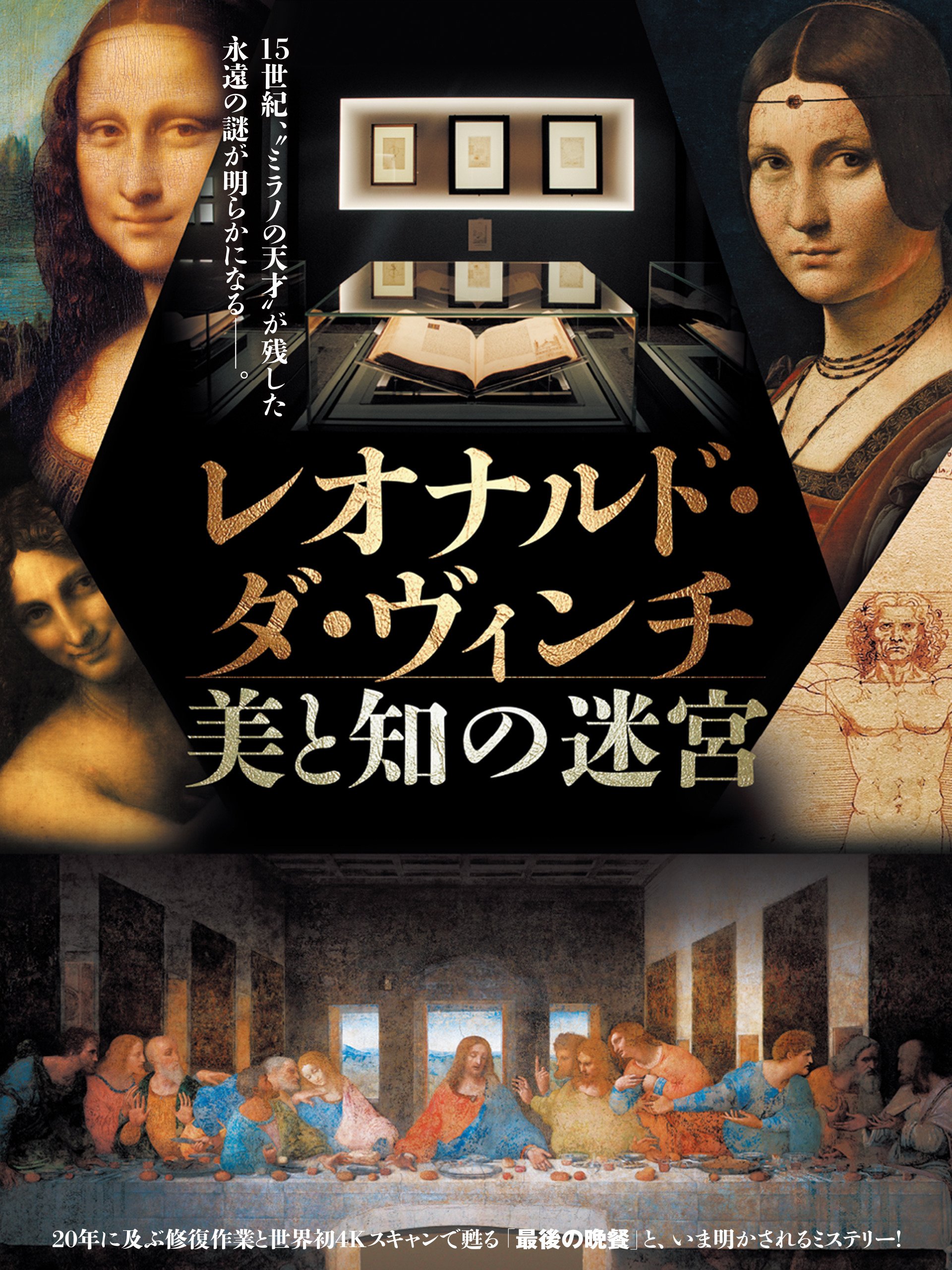 Amazon Co Jp 映画 レオナルド ダ ヴィンチ 美と知の迷宮 を観る Prime Video Amazon Co Jp 映画 レオナルド ダ ヴィンチ 美と知の迷宮 を観る Prime Video