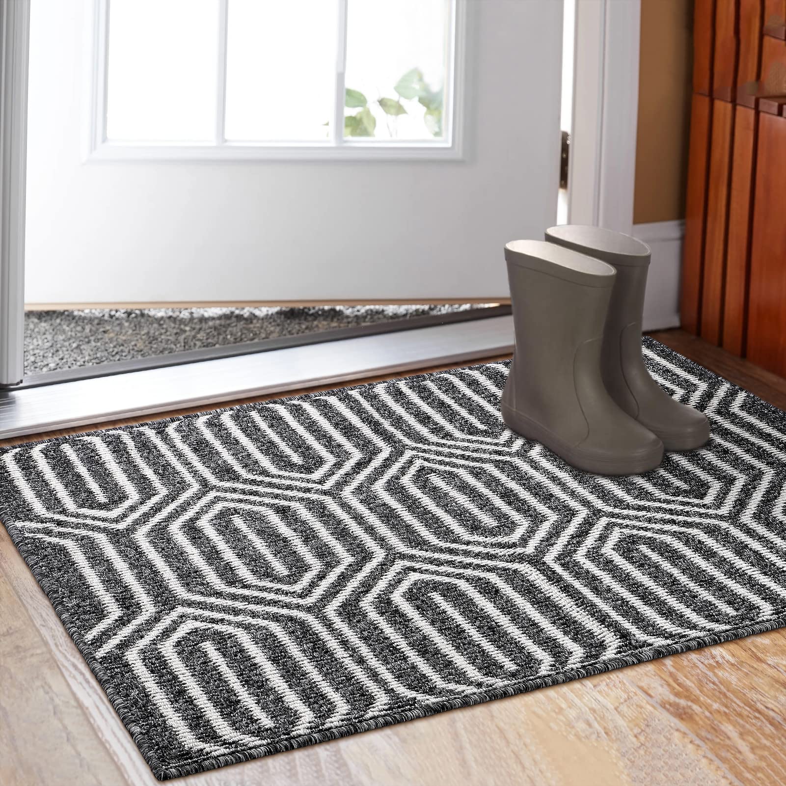 Photo 1 of Aoonby Indoor Doormat 32"x 48" - Machine Washable, Non-Slip