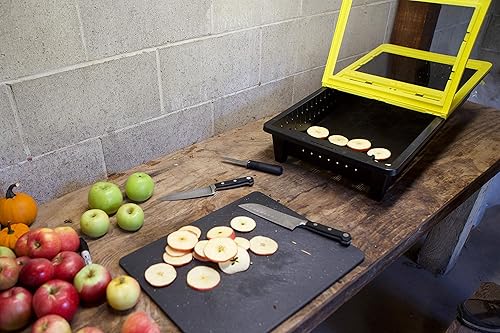 Miniatura 4 de JUA Technologies - Deshidratador solar de alimentos