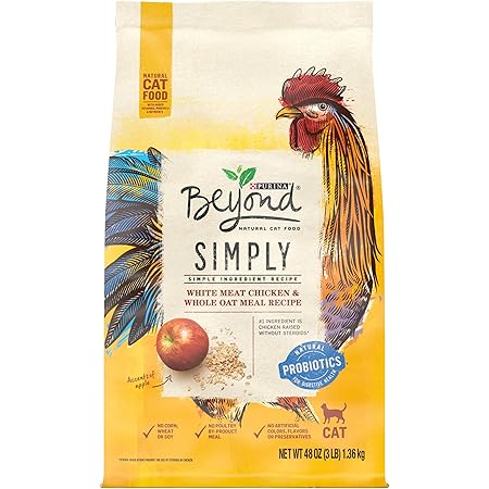 purina beyond kitten