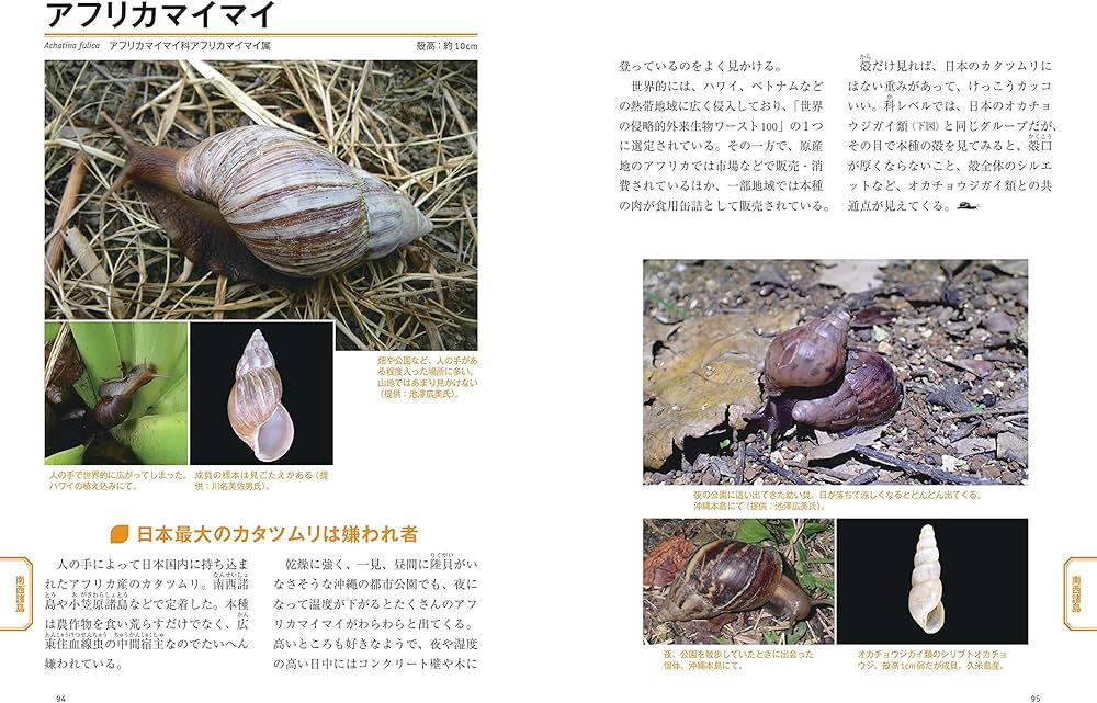 カタツムリ・ナメクジの愛し方 日本の陸貝図鑑 | 脇 司 |本 | 通販