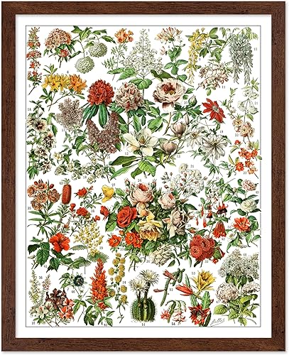 Miniatura 151 de Poster Master Póster vintage de orquídea, estampado de flores retro, arte de pared de plantas exóticas, arte botánico, regalo para hombres y