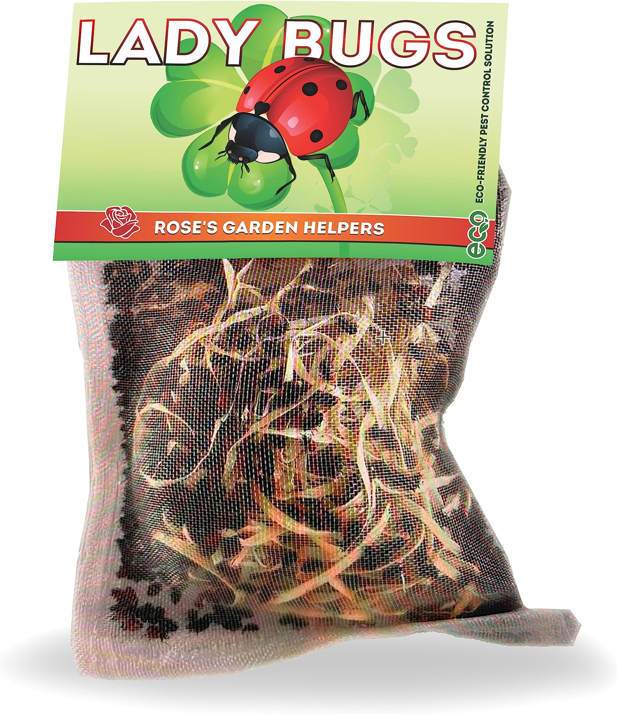 Pre-Fed Live Ladybugs for Aphid Control | Hippodamia Convergens | Mesh Bag (6000)