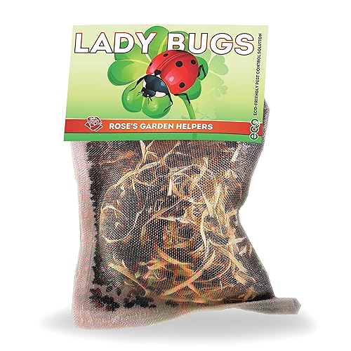 1500 Pre-Fed Live Ladybugs for Aphid Control | Hippodamia Convergens