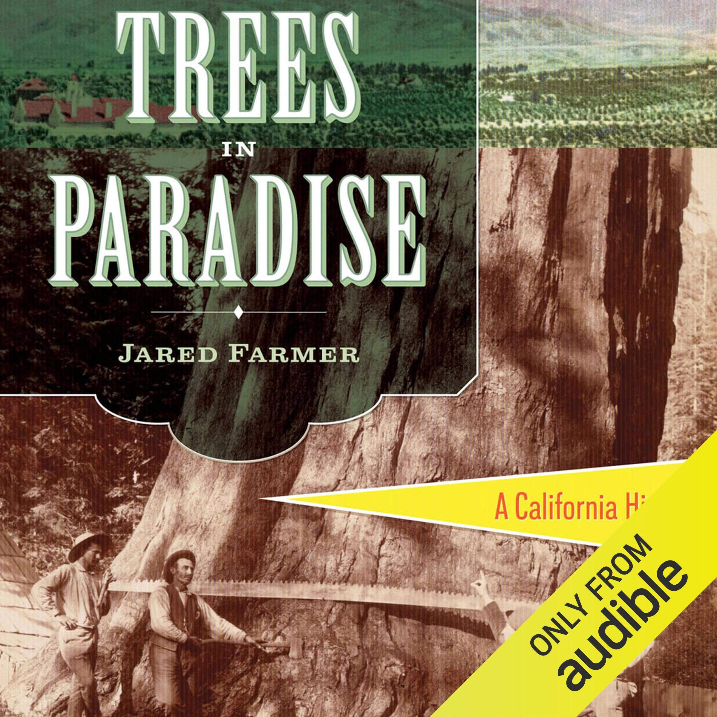 Cover art for Trees in Paradise
