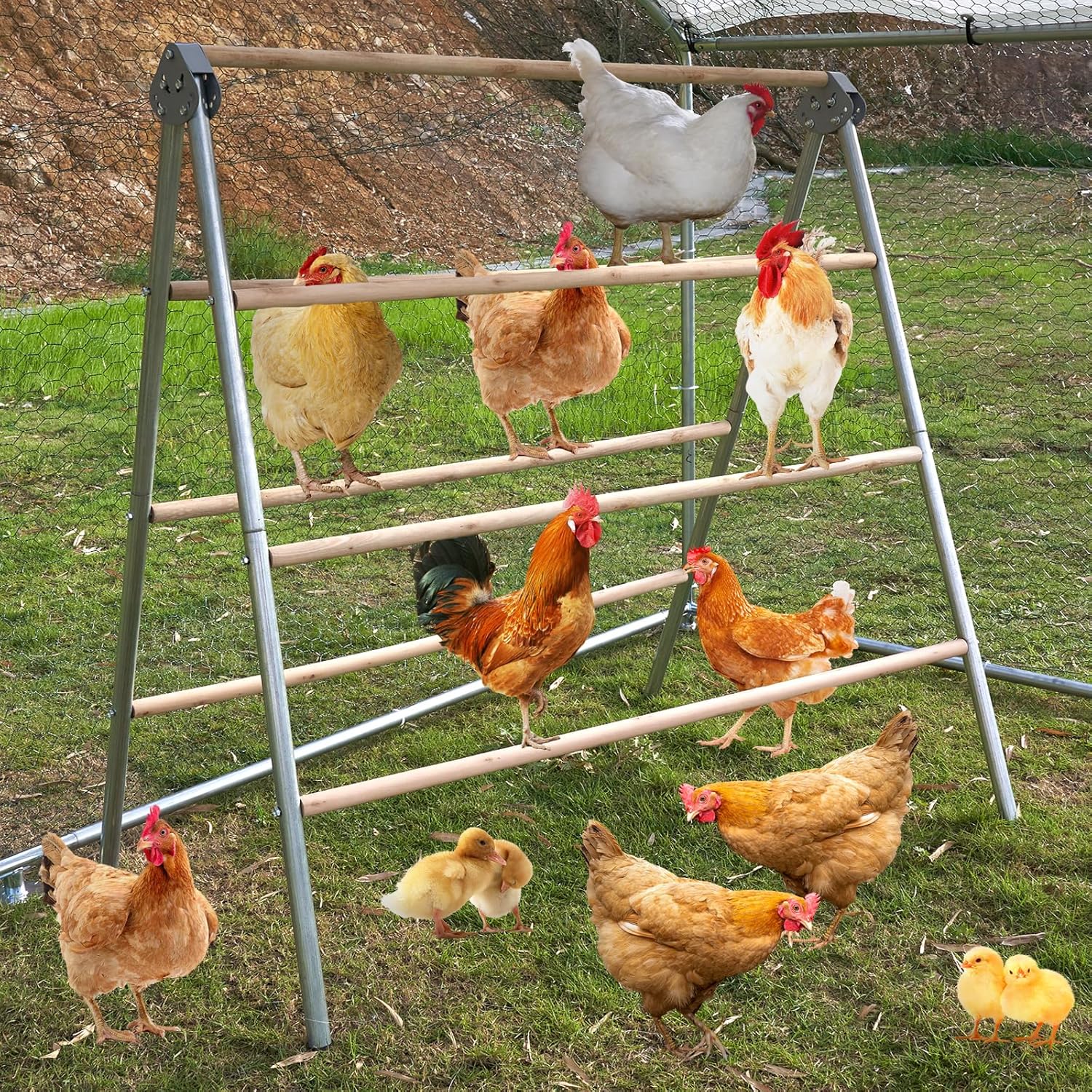 Chicken Perch for Coop, Large Chicken Roosting Bars/Ladder