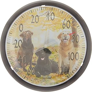 Taylor Weather Resistant Shatterproof Dial Thermometer, No Size, Black & Yellow