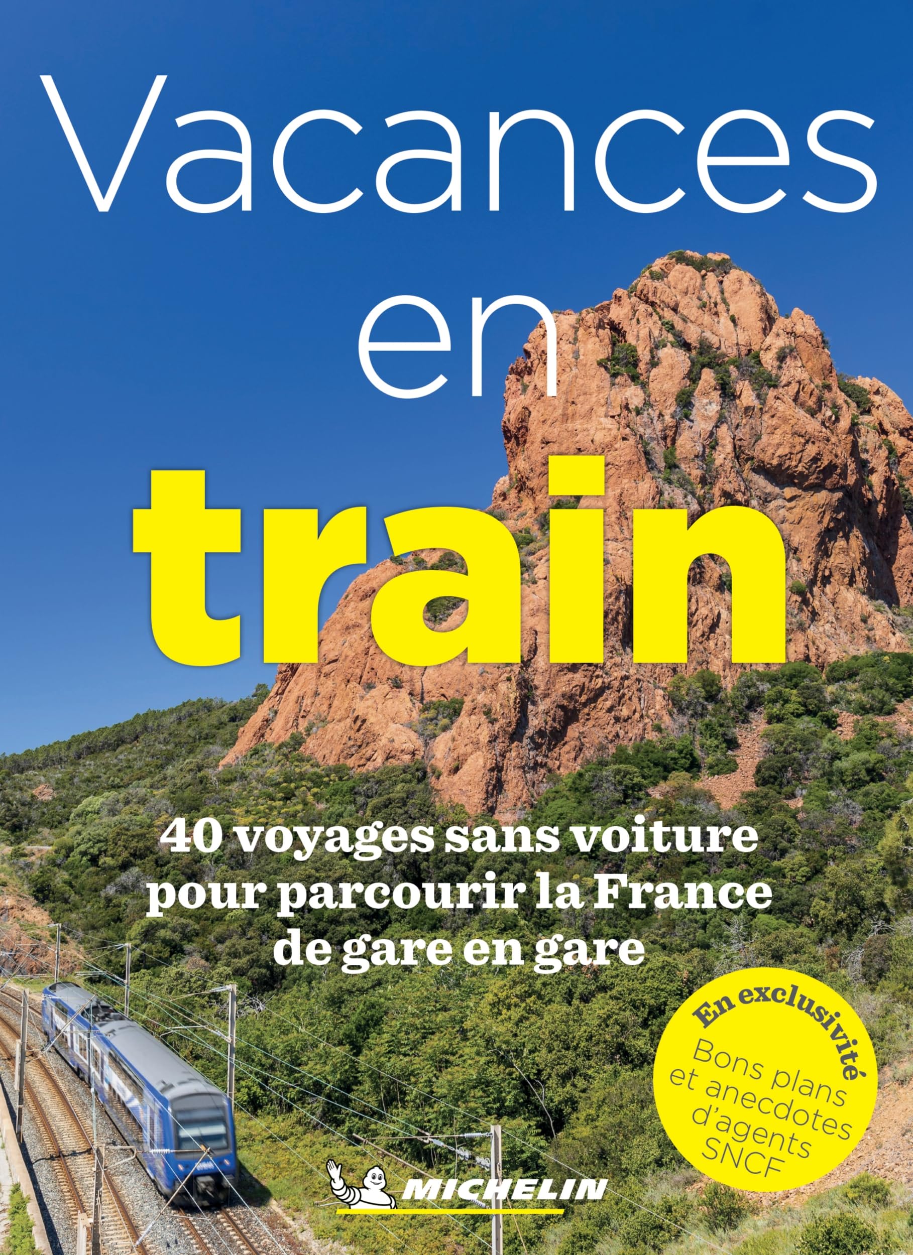 Vacances en train - 40 voyages sans voiture: 40 voyages sans voiture pour parcourir la France de gare en gare