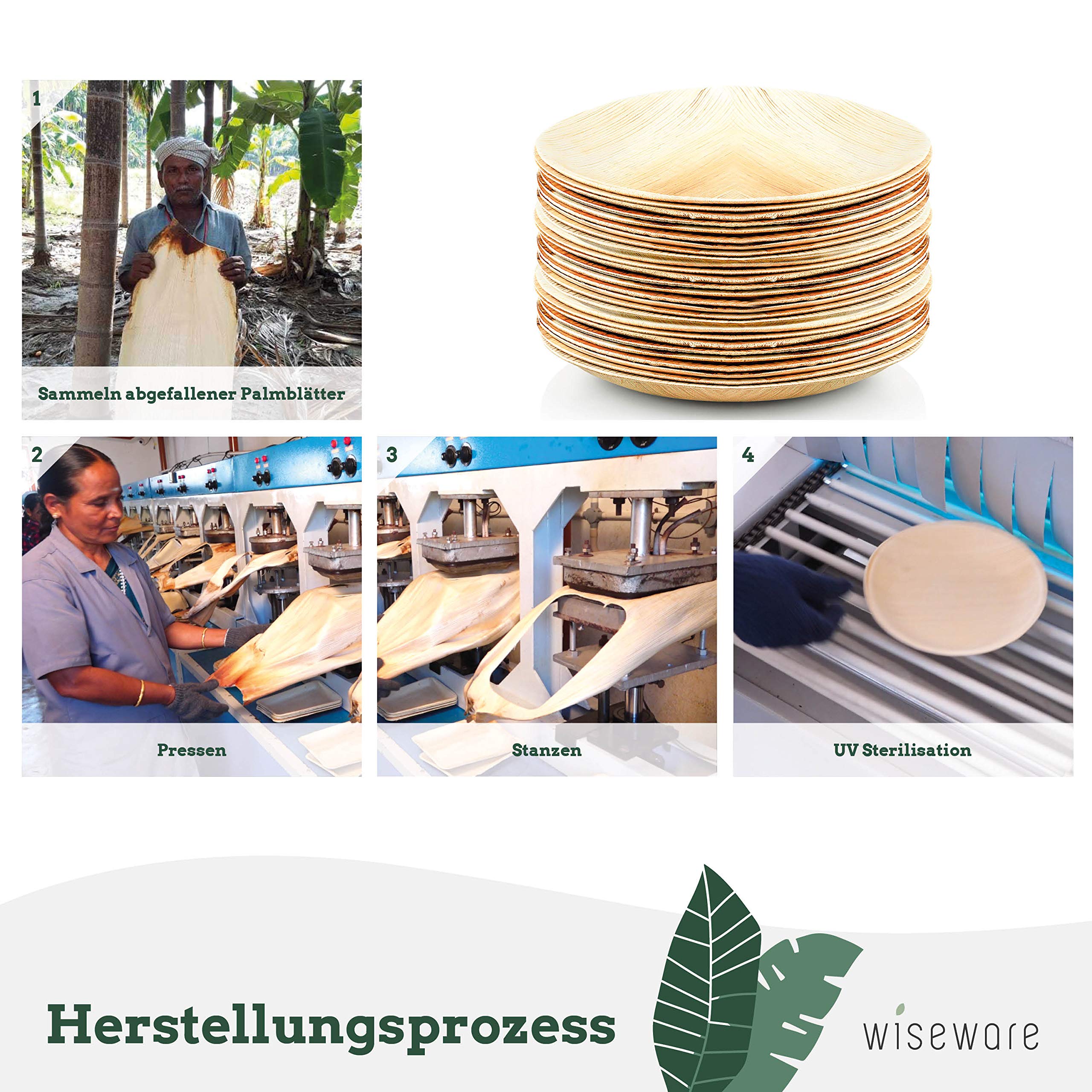Wiseware Piatti in foglia di palma, 200 pezzi, piatti usa e getta, rotondi, Ø 20 cm, stoviglie biodegradabili in foglia di palma, stoviglie compostabili, stoviglie monouso biologiche