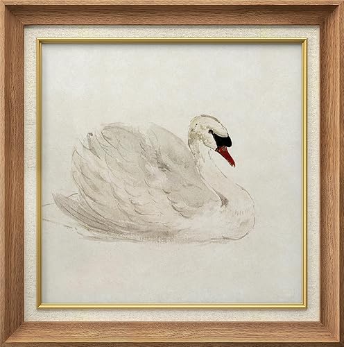 MUDECOR Arte de pared enmarcado de alta calidad, retrato de pájaro cisne blanco, naturaleza, desierto, ilustraciones vintage, bellas artes,