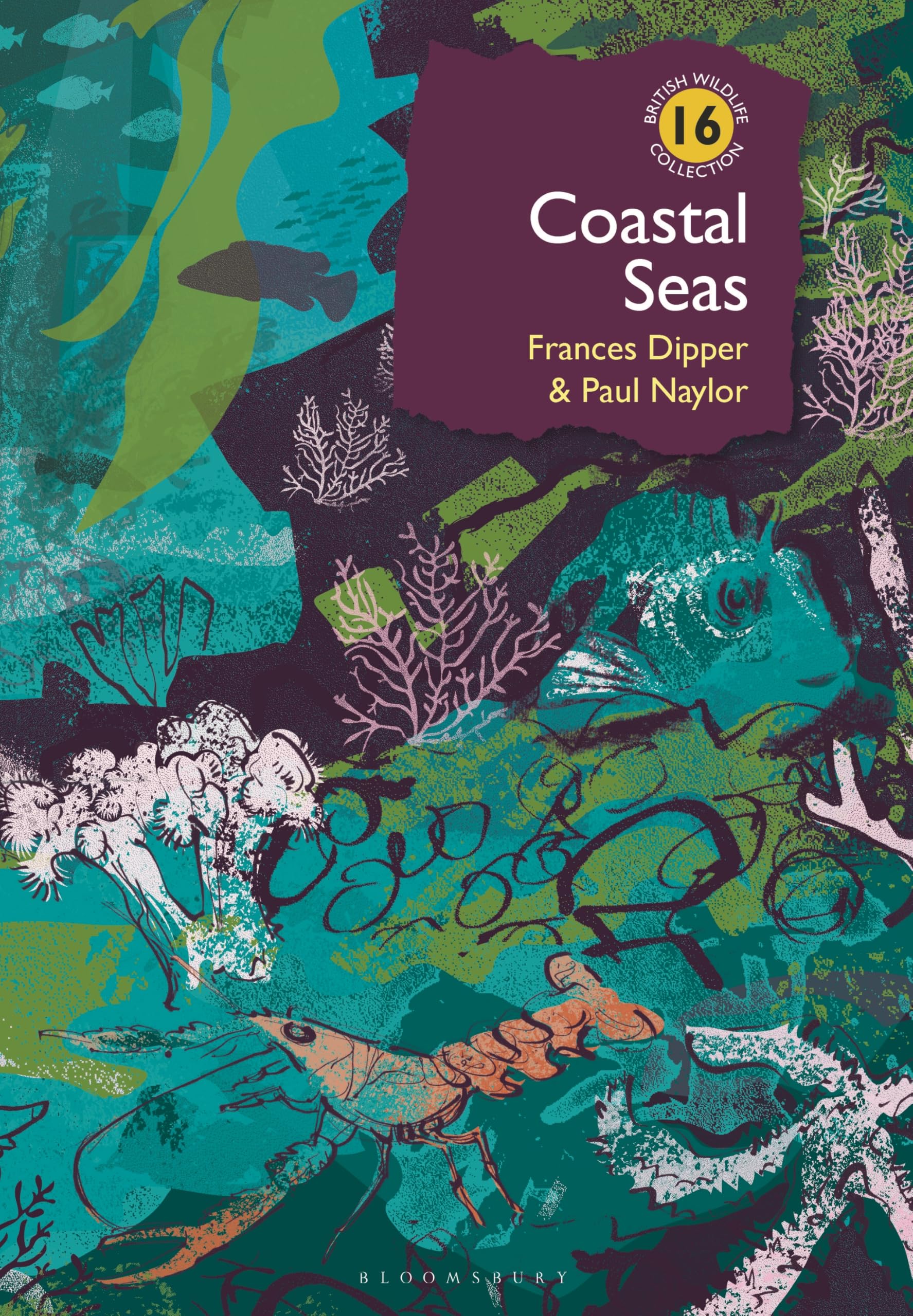 Coastal Seas (British Wildlife Collection)