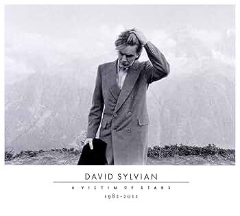 【直筆サイン初回限定 CD/DVD】デヴィッド・シルヴィアン　マナフォン Amazon.co.jp: Manafon: ミュージック