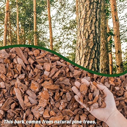 Miniatura 2 de Corteza de orquídea orgánica de 3 cuartos de galón para plantas en maceta, desarrollo de raíces de plantas de orquídeas y mezcla de enmienda de