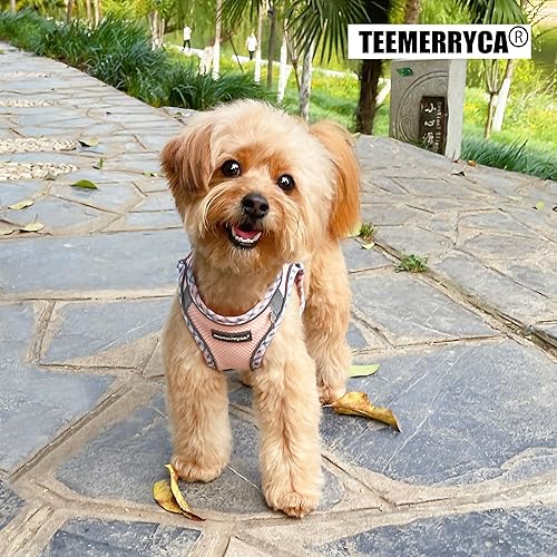 Miniatura 6 de TEEMERRYCA Juego de arnés y correa para perro para todo tipo de clima, fácil de poner y quitar, arnés reflectante ajustable sin tirones para