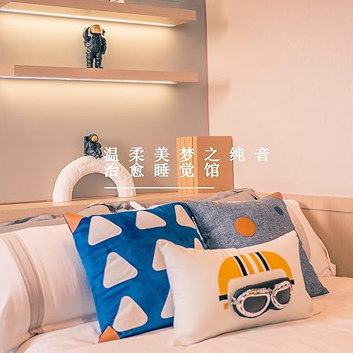 宁静安眠曲 (轻音乐)