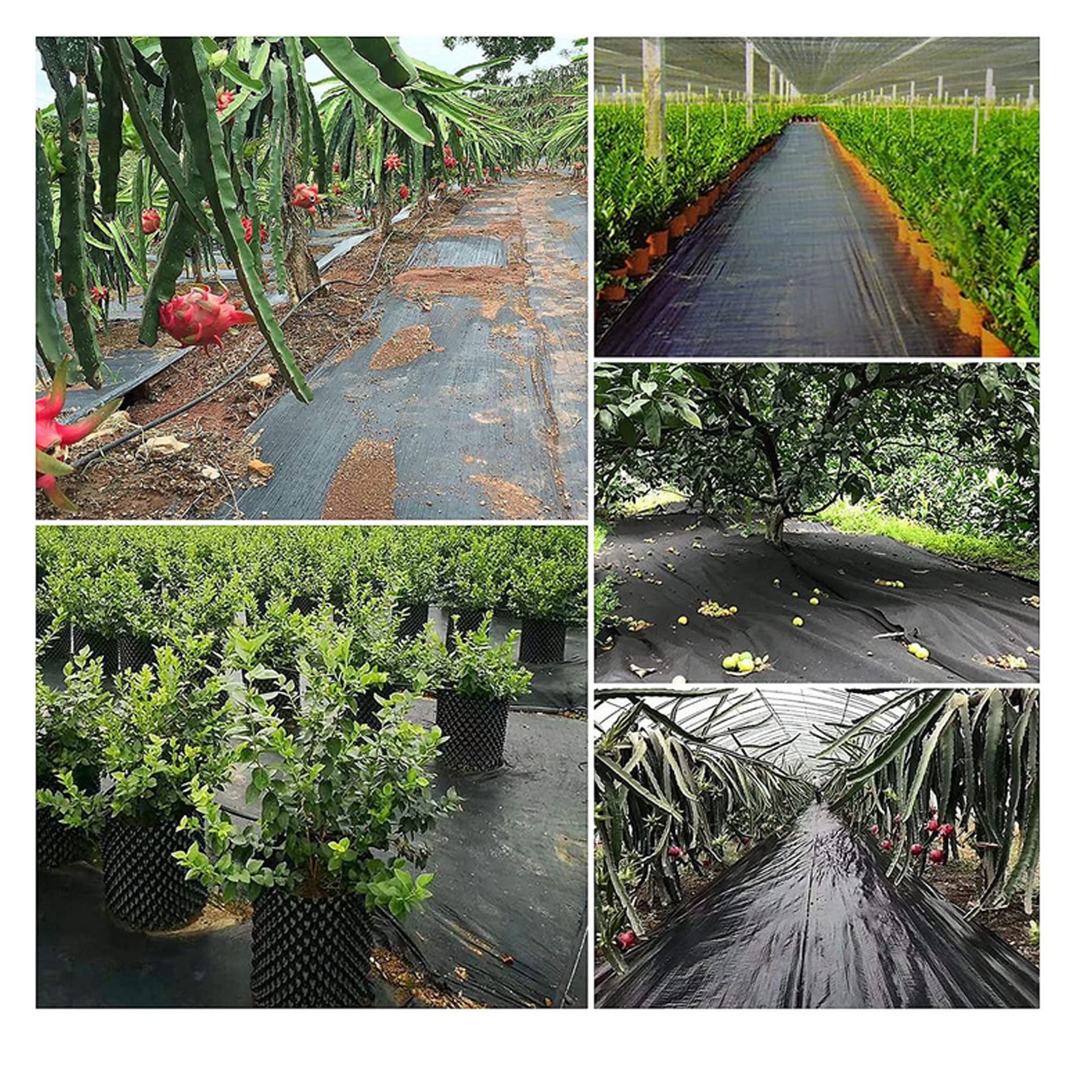 elfinrm 6x150ft Weed Barrier Fabric Landscape, Long-Term Use, Flexible, Breathable, Water Permeable, Weed Control Blocker Fabric Ground Cover Cloth for Garden Planting Weed Blocking