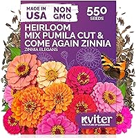 Vista 11 de KVITER 25 semillas de algodón blanco para plantar (Gossypium hirsutum) – Planta de algodón real, semillas de algodón para cultivo, semillas