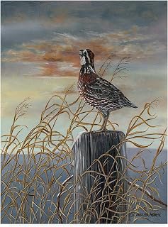 Trademark Fine Art Quail on a Post by Carolyn Mock, 18x24-Inch