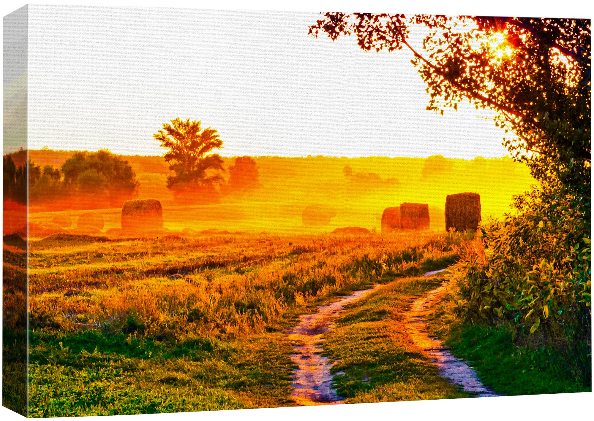 Amazon.com: SIGNFORD Canvas Print Wall Art Summer Countryside Farm