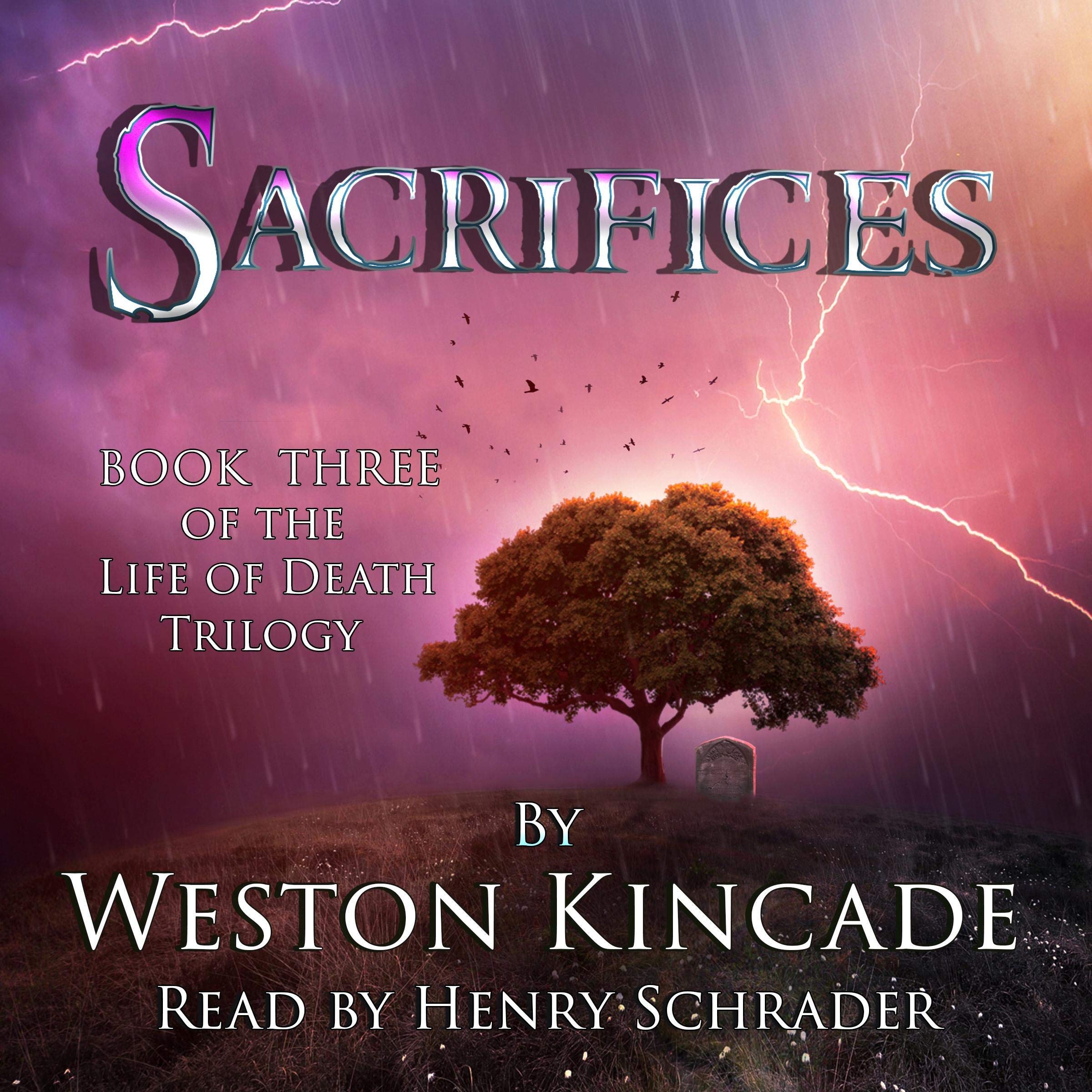 Cover art for Sacrifices
