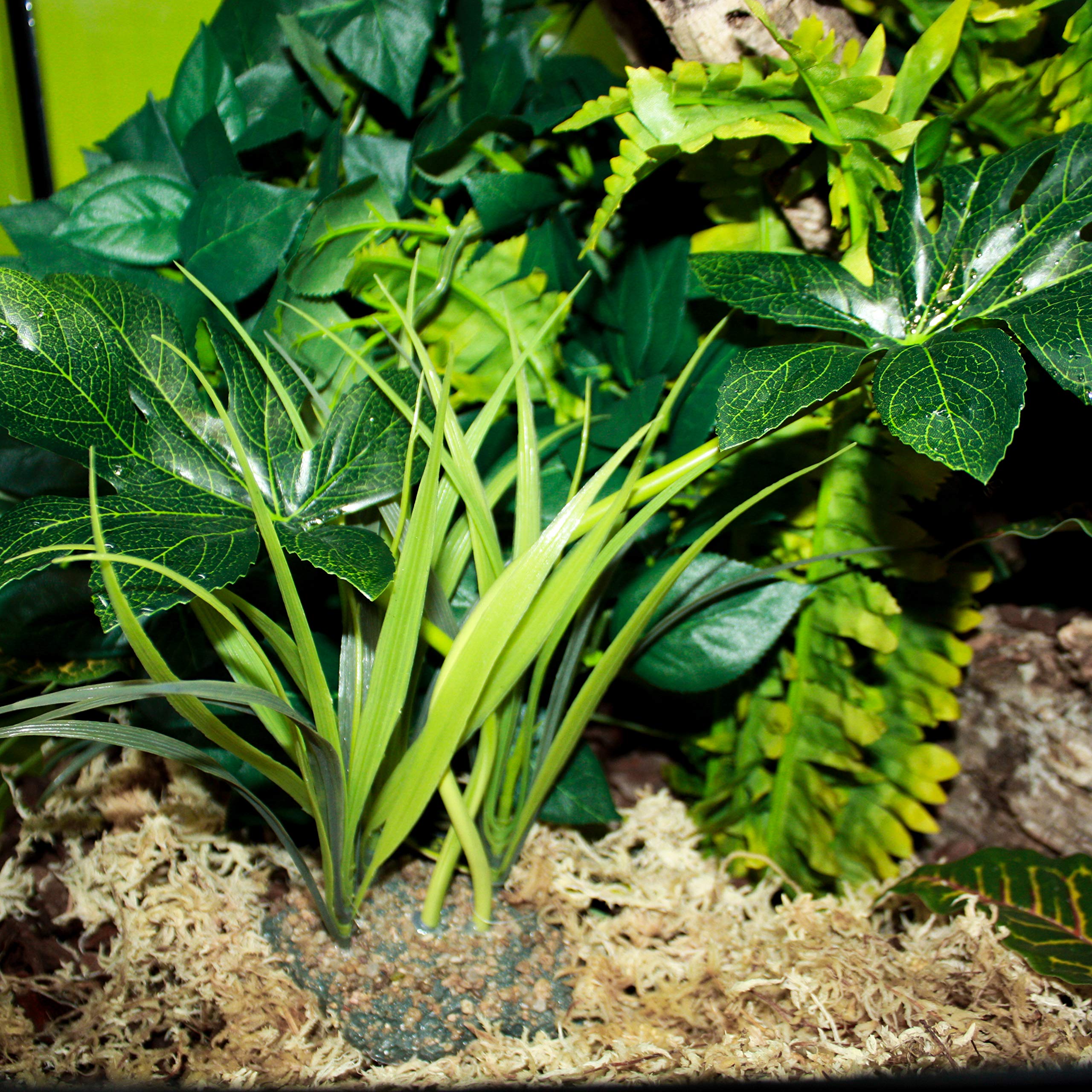 Komodo Plante tropicale artificielle