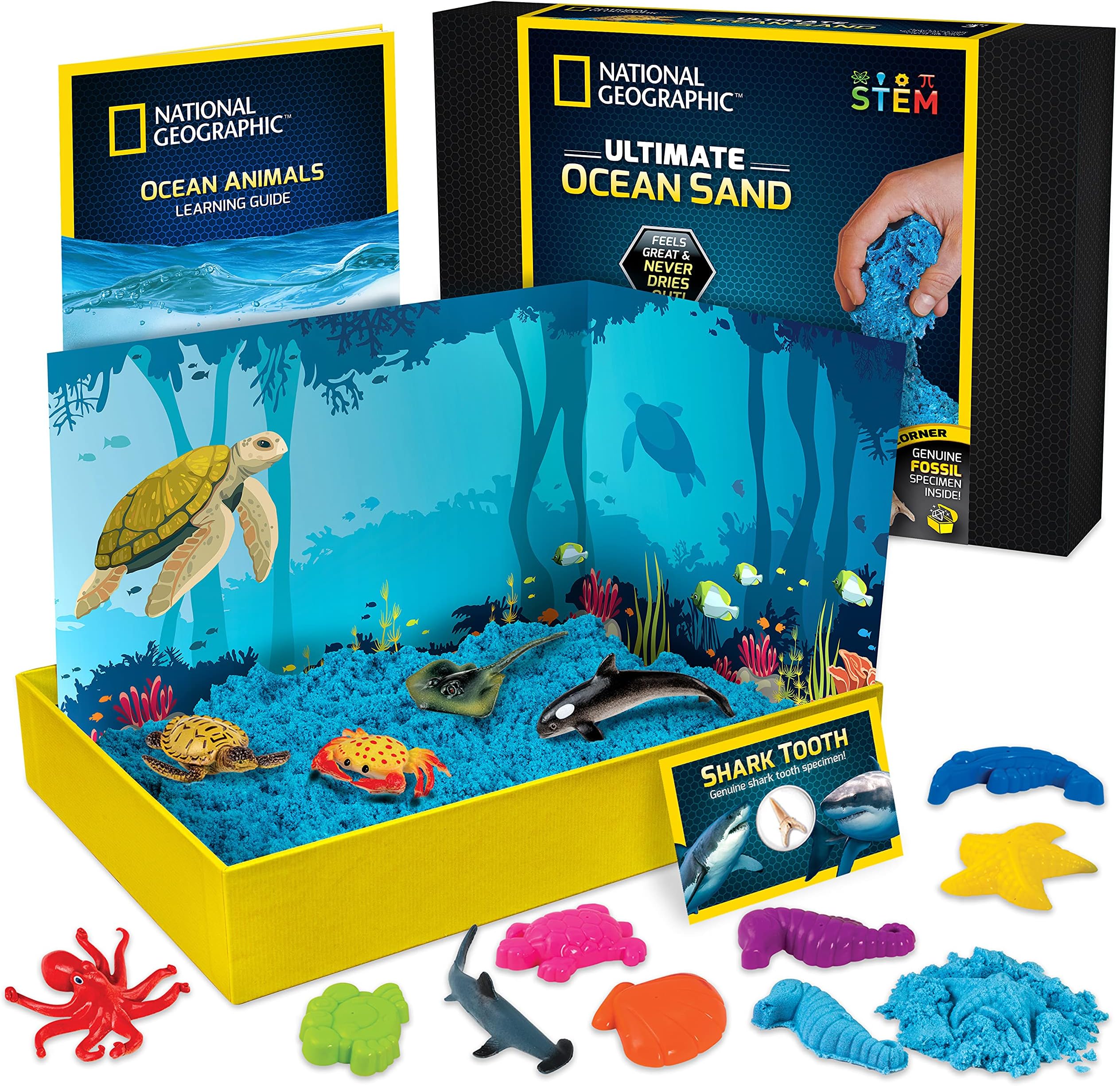 National Geographic Ultimate Ocean Kinetic Sand for Kids - Satisfying Kids Sand Toys with 6 Awesome Moulds and Figures | STEM Blue Sand for Children | Creative Toys for Girls and Boys | 2lbs