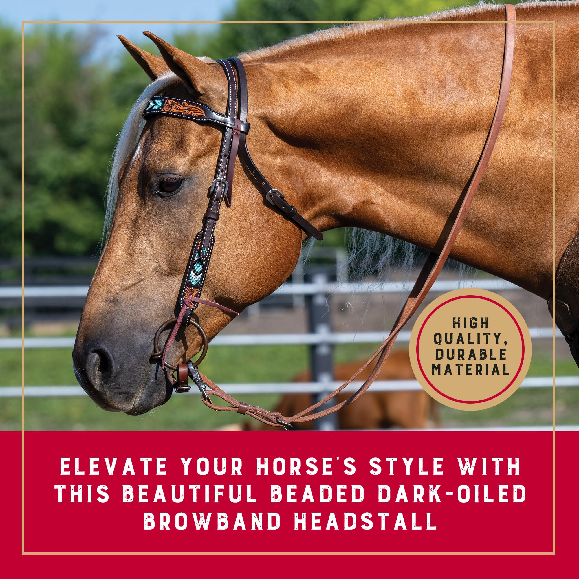 Amazon.com: Weaver Equine Beaded Horse Headstall, Leather